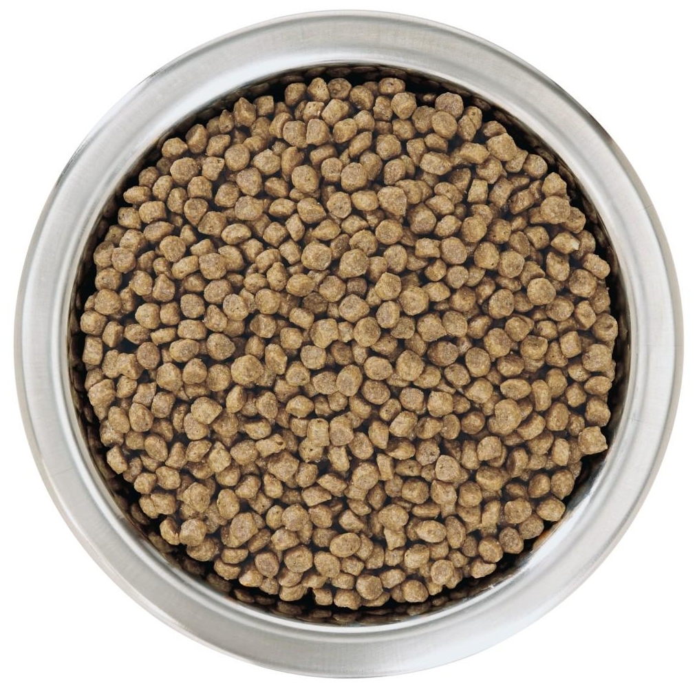 Корм для собак PURINA Pro Plan д/щенков мелк.пор. курица/рис 7 кг заказать