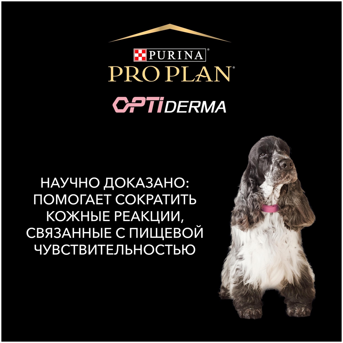 Цена Корм для собак PURINA Pro Plan д/щенков мелк.пород с чувст.кож. лосось 700 гр