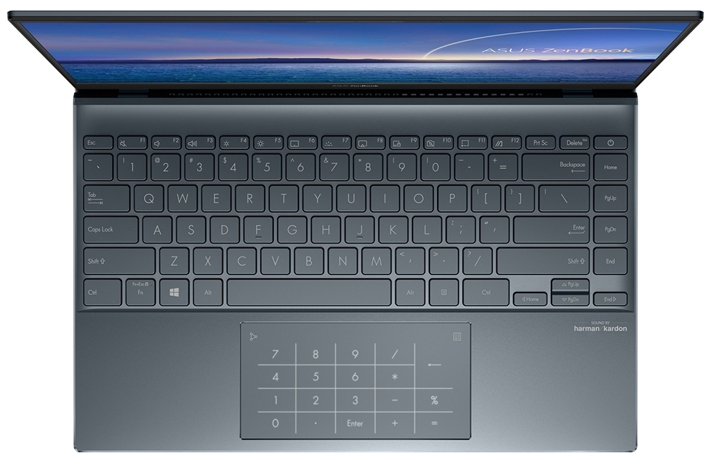 Фотография Ноутбук ASUS ZenBook UM425QA-KI084T (90NB0TV1-M02200)