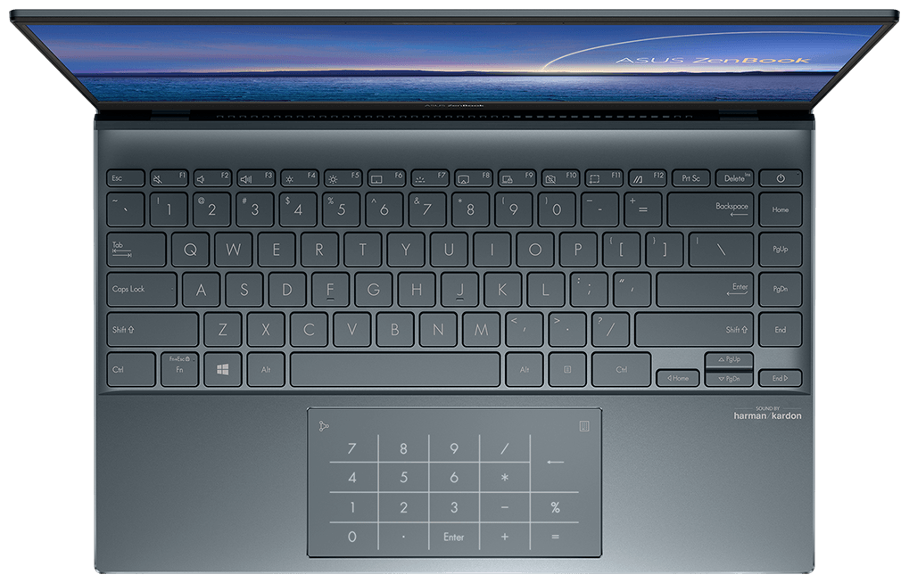 Фотография Ноутбук ASUS ZenBook UX425JA-HM020T (90NB0QX1-M08250)