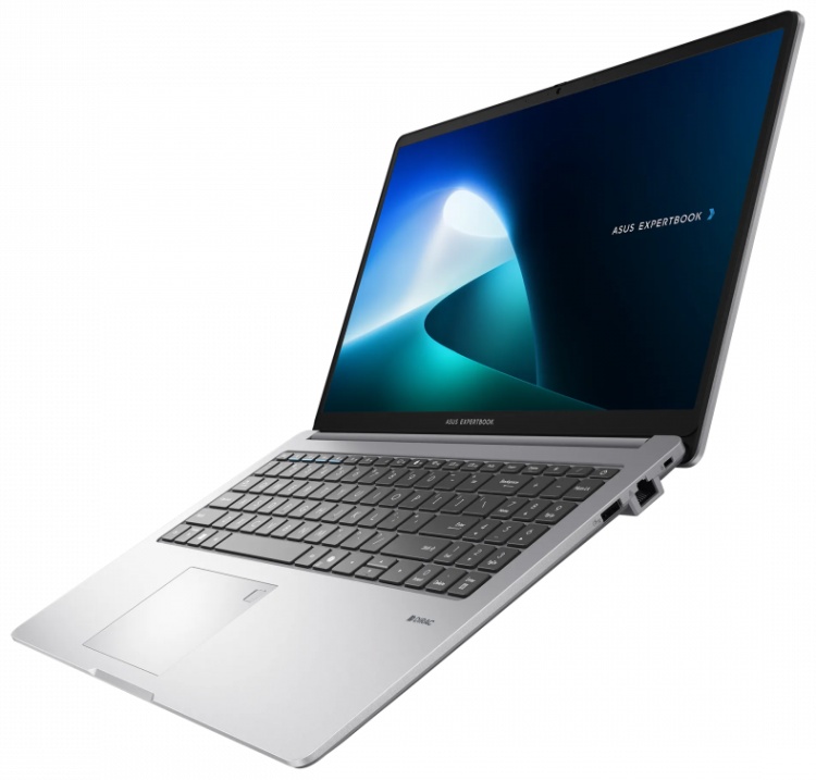 Купить Ноутбук ASUS ExpertBook P15 (90NX0881-M00YJ0)