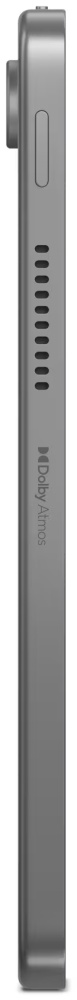 Планшет LENOVO TB311FU 4/64Gb Grey (ZAEH0008RU) заказать