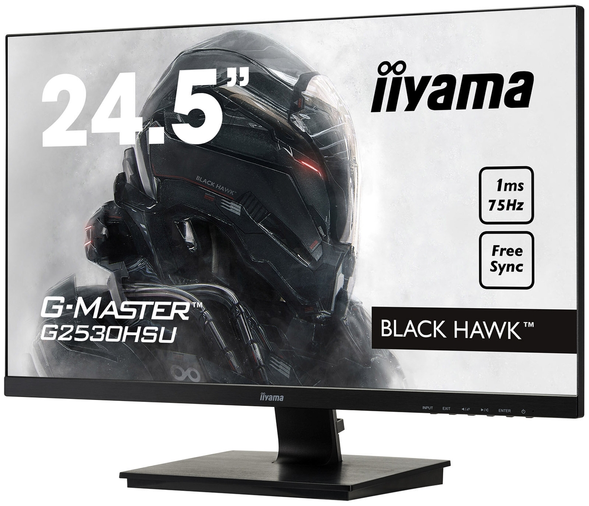 Фото Монитор IIYAMA G2530HSU-B1