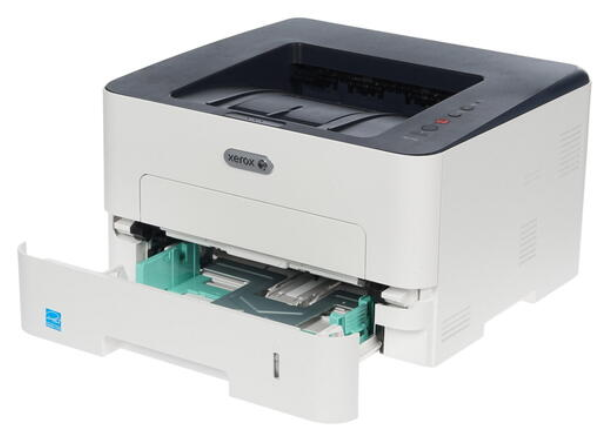 Принтер XEROX B210DNI заказать