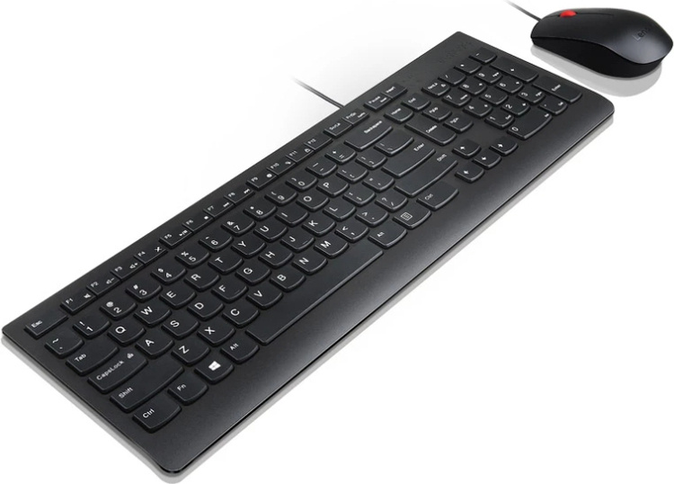Фотография Клавиатура LENOVO Essential Wireless Combo (4X30L79912) + мышь