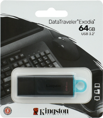 Картинка USB накопитель KINGSTON DTX/64GB