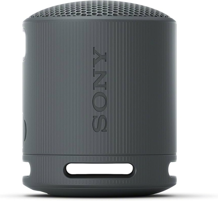 Портативная акустика SONY SRS-XB100/BCE