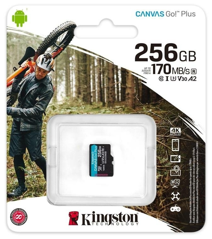 Фото Карта памяти KINGSTON SDCG3/256GbSP