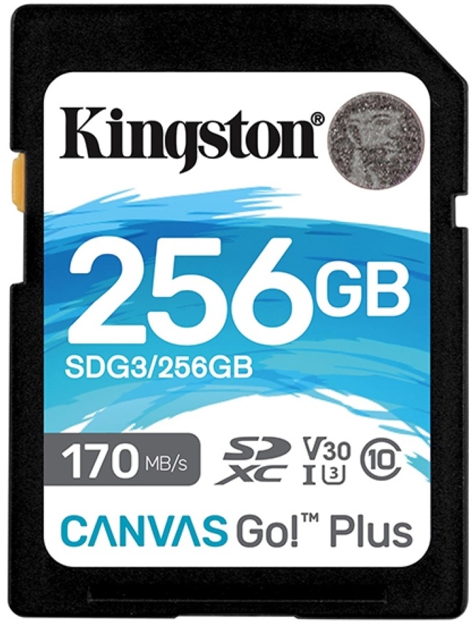 Карта памяти KINGSTON 256Gb Class 10 U3 SDG3/256Gb