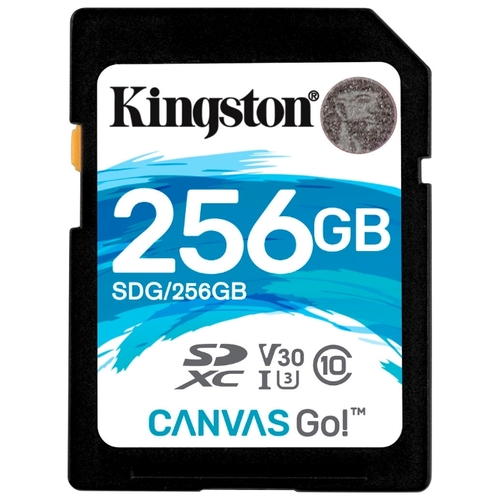 Фото Карта памяти KINGSTON SDG/256GB