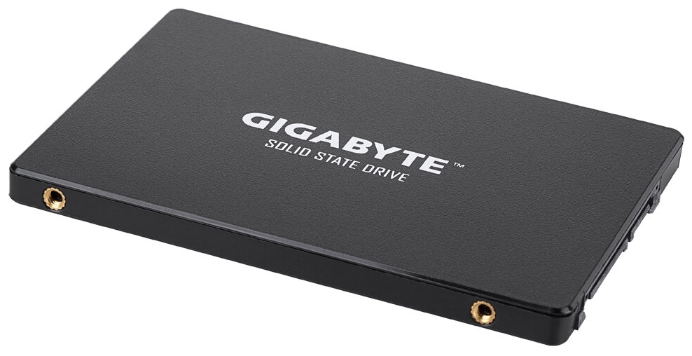 Фотография Жесткий диск SSD GIGABYTE GP-GSTFS31100TNTD