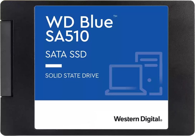 Фото Жесткий диск SSD Western Digital WDS100T3B0A