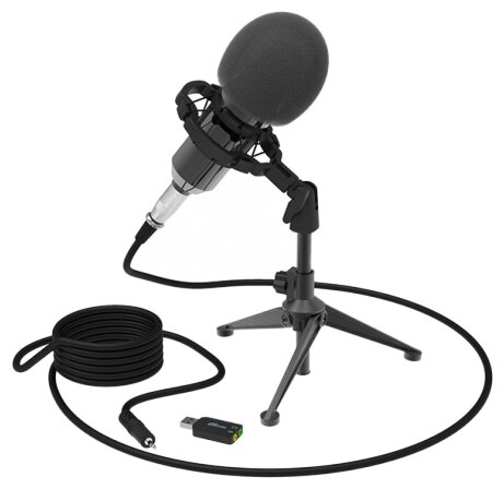 Микрофон RITMIX RDM-160 Black