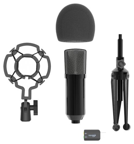 картинка Микрофон RITMIX RDM-160 Black от магазина 1.kz