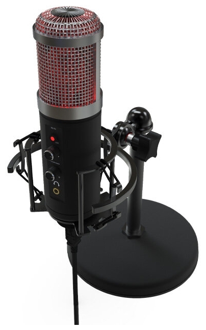 Цена Микрофон RITMIX RDM-260 USB Eloquence Black