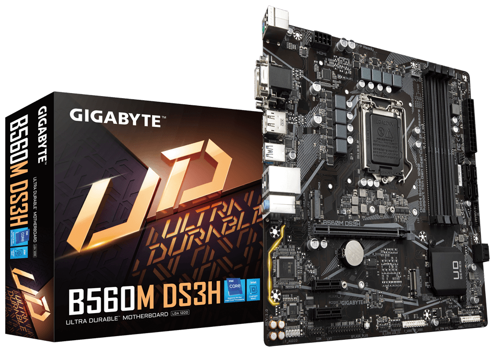 Картинка Материнская плата GIGABYTE B560M DS3H