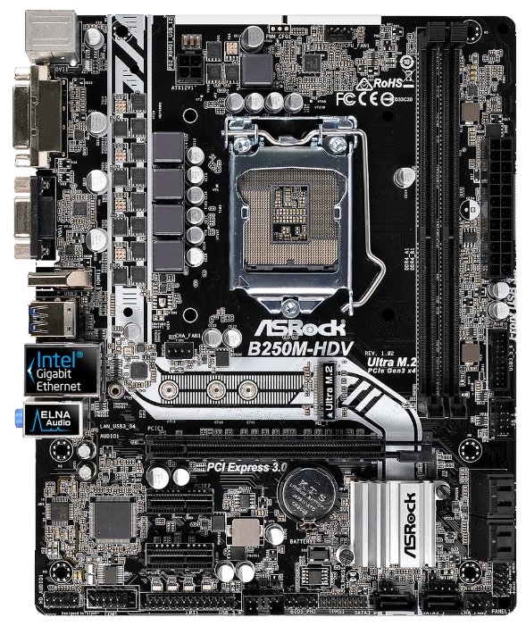 Материнская плата ASRock B250M-HDV