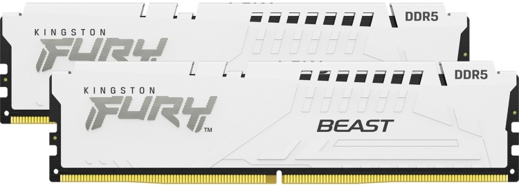 Фото Комплект модулей памяти KINGSTON FURY Beast KF556C40BBAK2-64