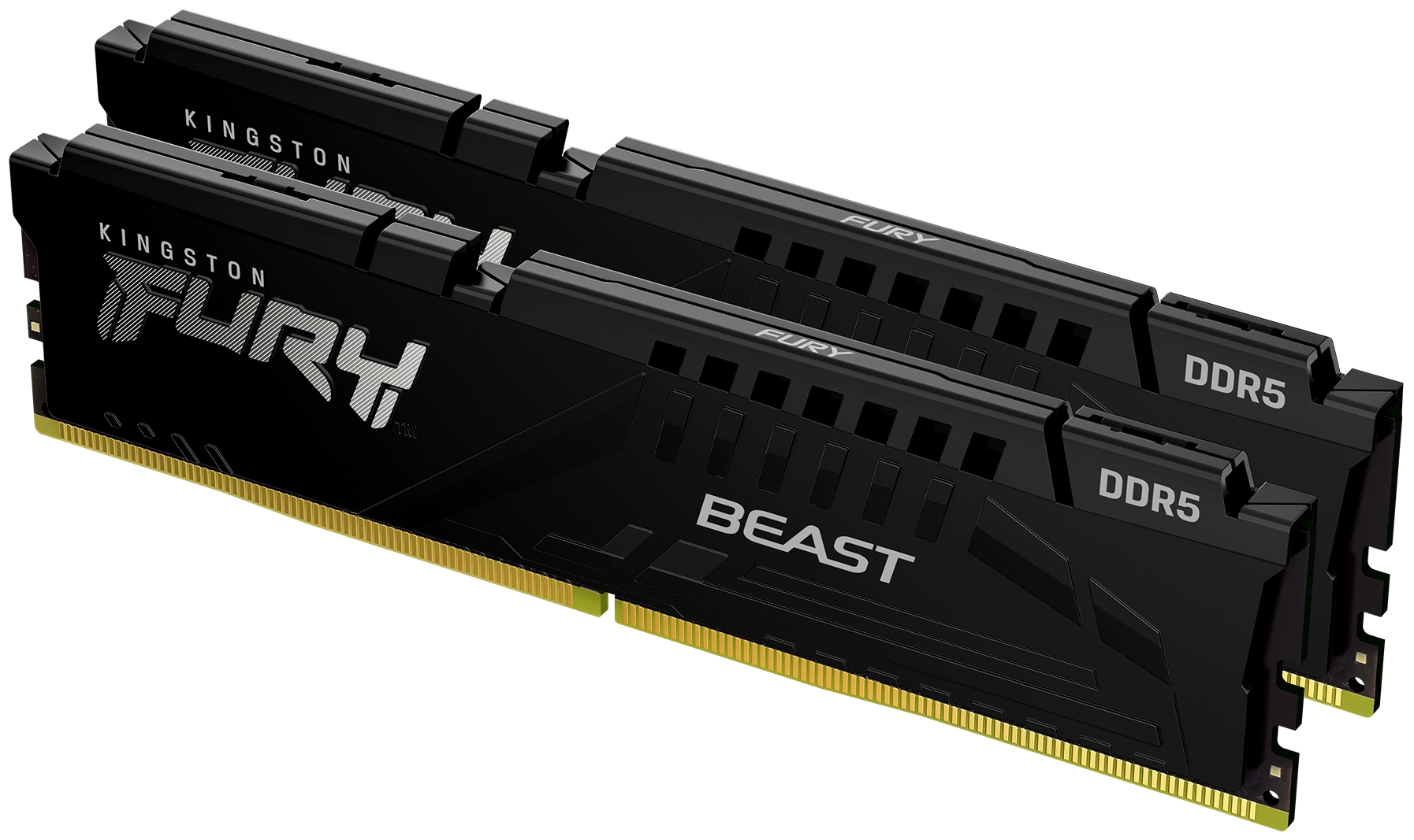Модуль памяти KINGSTON Fury Beast KF556C40BBK2-32 DDR5 заказать