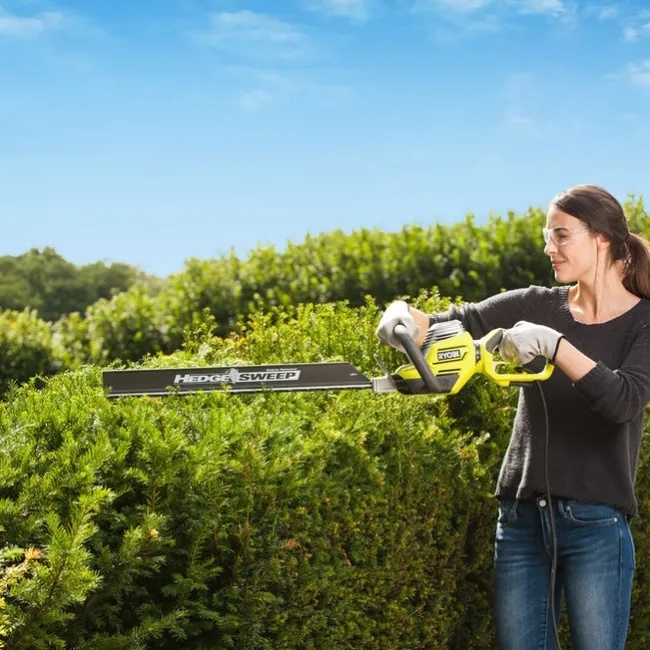 Фотография Кусторез RYOBI RHT8165RL