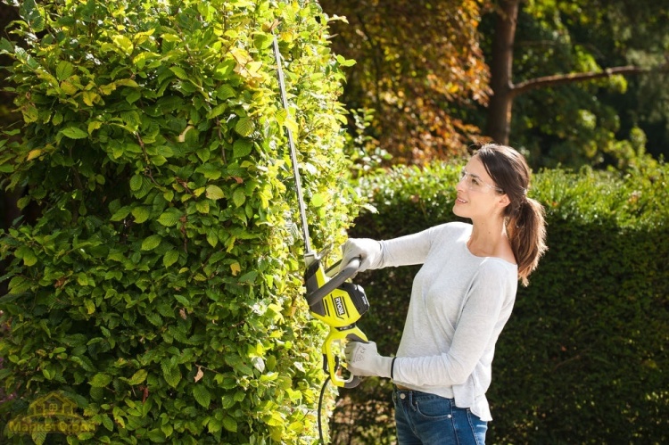 Фото Кусторез RYOBI RHT5655RS