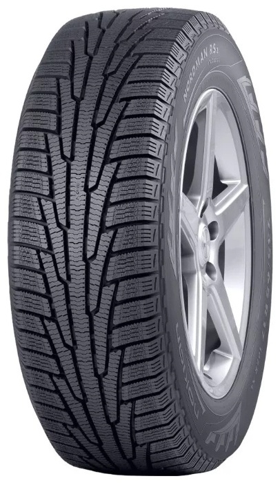 Фото Автомобильная шина зимняя IKON Nordman RS2 225/55/R17 R101