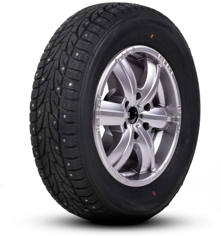 Фото Автомобильная шина зимняя Roadx RX FROST WCS01 205/65/R16C Q107-105