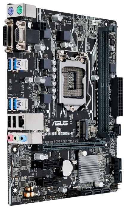 Фото Материнская плата ASUS PRIME B250M-K