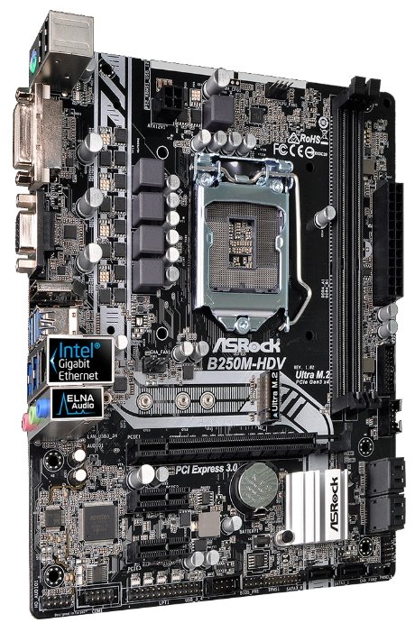 Фотография Материнская плата ASRock B250M-HDV