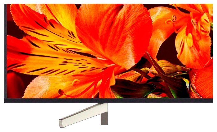 LED телевизор SONY KD55XF8596BR2 Казахстан