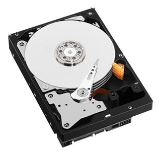 Цена Жесткий диск HDD Western Digital WD100PURZ 10000 Gb Purple
