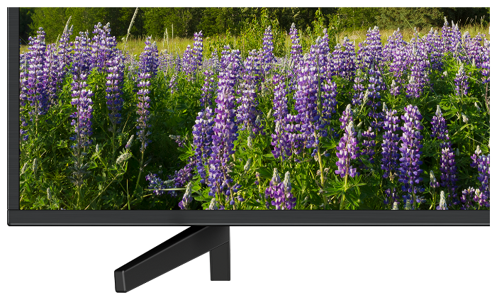 Картинка LED телевизор SONY KD49XF7005BR