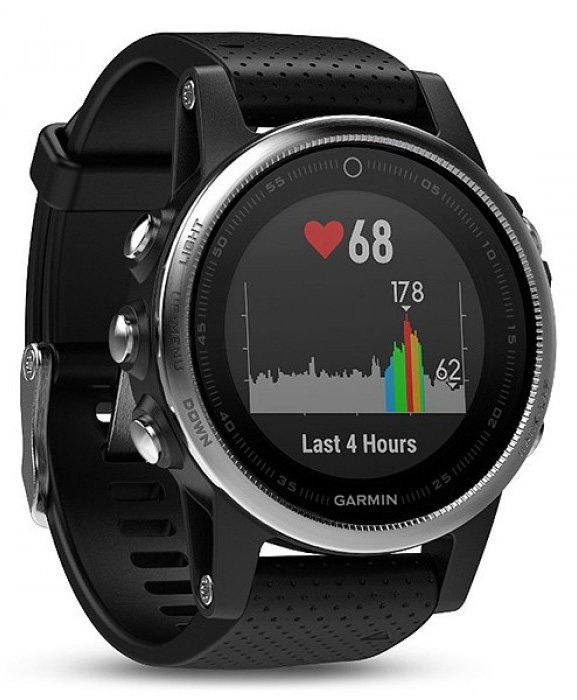 Фотография Смарт-часы GARMIN Fenix 5S Silver with Black band