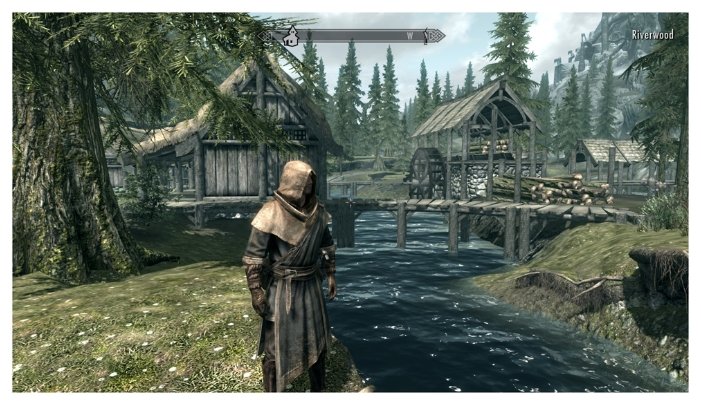 Купить Игра для NINTENDO The Elder Scrolls V Skyrim