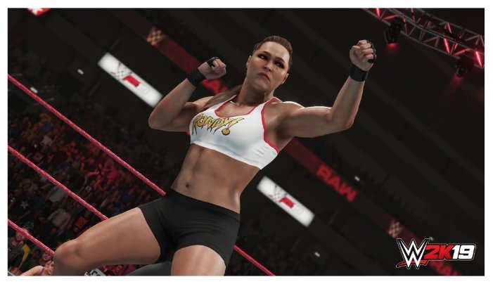 Картинка Игра для PS4 WWE 2K19