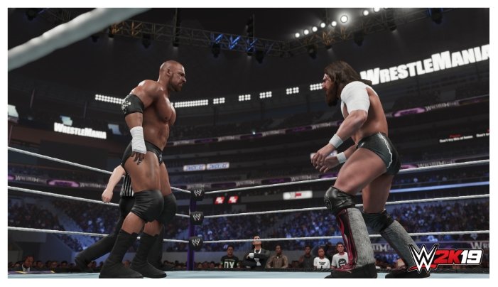 Игра для PS4 WWE 2K19 Казахстан