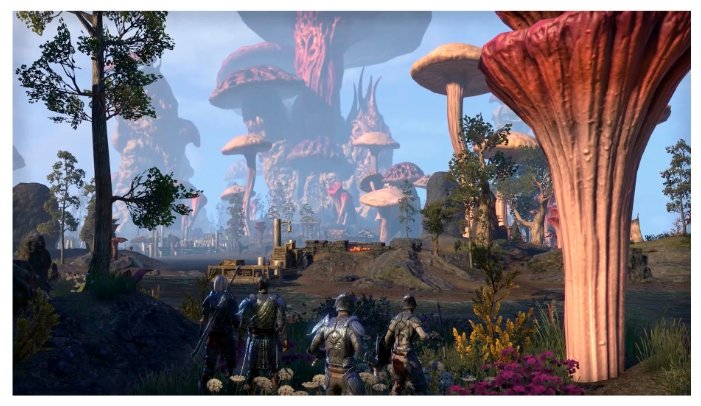 Картинка Игра для PS4 Elder Scrolls Online Morrowind