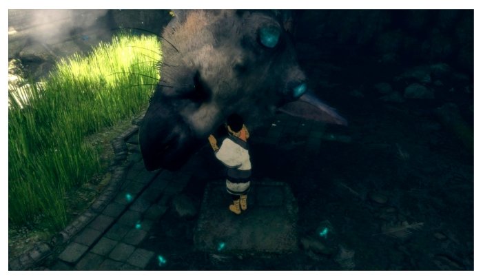 Картинка Игра для PS4 The Last Guardian Special Edition