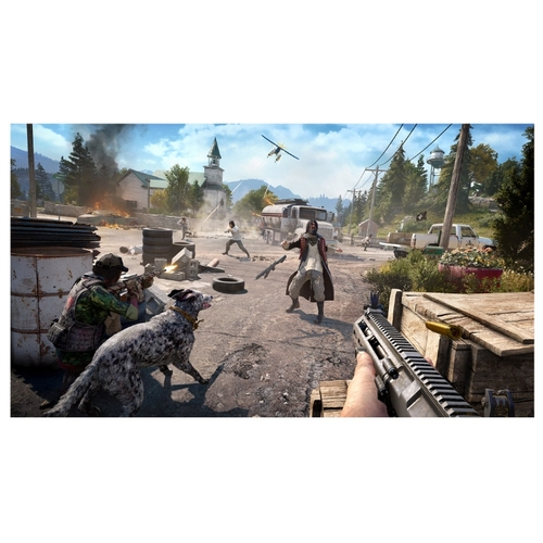 Картинка Игра для PS4 Far Cry 5