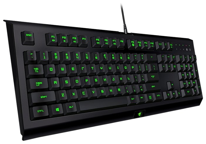 Клавиатура RAZER Cynosa Pro (RZ03-01470200-R3R1) Казахстан