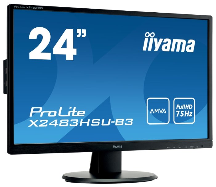 Фото Монитор IIYAMA ProLite X2483HSU-B3