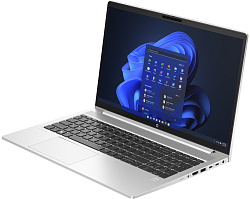Ноутбук HP ProBook 450 G10 UMA (9B9H3EA)