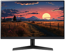 Монитор LG 24GN60R-B