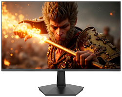 Монитор NEXA Gaming NG2408A