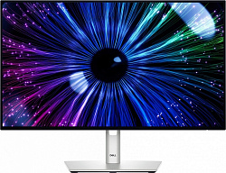Монитор DELL U2424HE (210-BKJF)