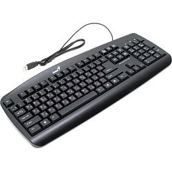 Клавиатура GENIUS KB-110 USB Black (31300700100)