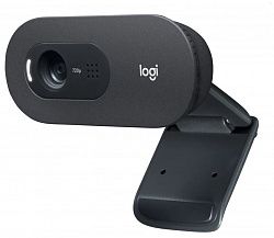Веб-камера LOGITECH C505 (960-001364)