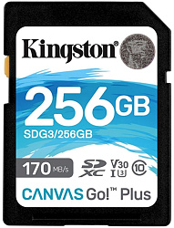 Карта памяти KINGSTON 256Gb Class 10 U3 SDG3/256Gb