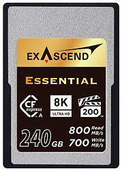 Карта памяти EXASCEND Essential EXPC3EA240GB