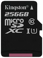 Карта памяти KINGSTON SDCS/256GBSP Class 10